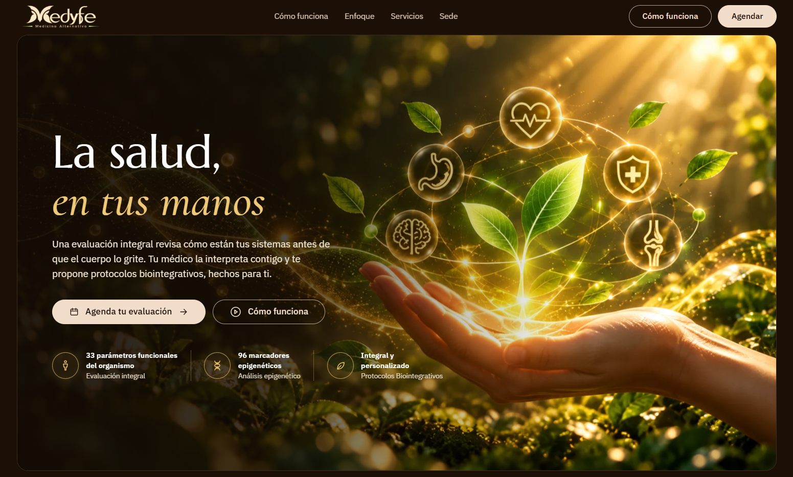 Sitio web de Medyfe